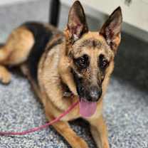 Thumbnail photo of Keeper #2