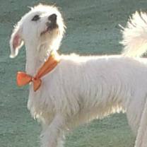 Thumbnail photo of Bonita - Pretty in Spanish #1