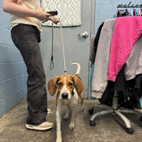 Thumbnail photo of Matilda #2