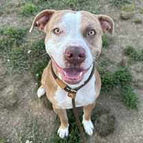 Thumbnail photo of Buddy #1