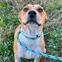 Thumbnail photo of Jelly Bean #1