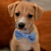 Thumbnail photo of Lucas #1