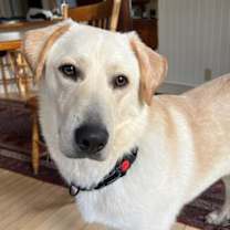 Thumbnail photo of Ryan (River) #1