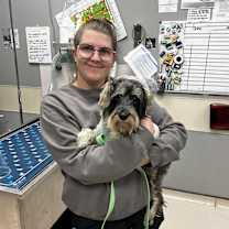 Thumbnail photo of Dusty #1