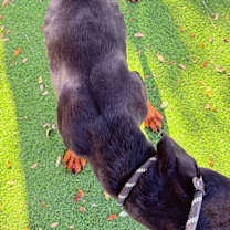 Thumbnail photo of Sundae 3485 #2