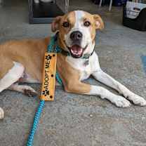 Thumbnail photo of Rosalie #1