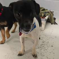 Thumbnail photo of Elliot #2