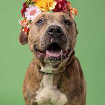 Thumbnail photo of Betty Lou #2