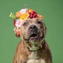 Thumbnail photo of Betty Lou #3