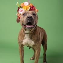 Thumbnail photo of Betty Lou #4