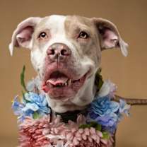 Thumbnail photo of Lydia #2