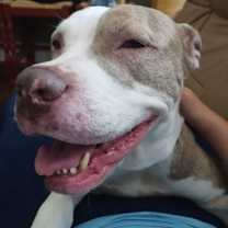 Thumbnail photo of Lydia #4