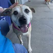 Thumbnail photo of Tise #2