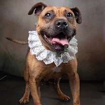 Thumbnail photo of ZLATA #1