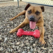 Thumbnail photo of ZLATA #3