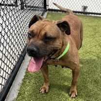 Thumbnail photo of ZLATA #4