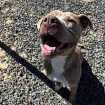 Thumbnail photo of Angelina Dogee #3