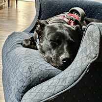 Thumbnail photo of Proton #2