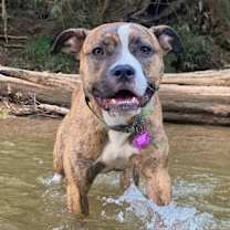 Thumbnail photo of Beatrice #3