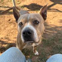 Thumbnail photo of Tory #2