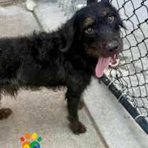 Thumbnail photo of Axle #2