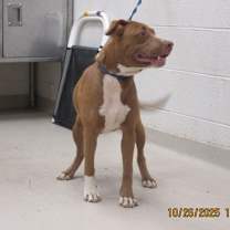 Thumbnail photo of Autumn (48) #2