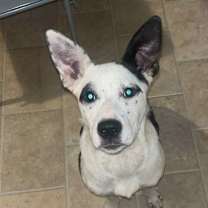 Thumbnail photo of Honey #2