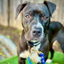 Thumbnail photo of Surfer Cooler #1