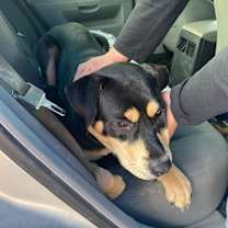 Thumbnail photo of Hunter #2