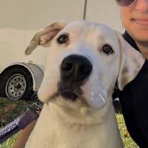 Thumbnail photo of Gus #1