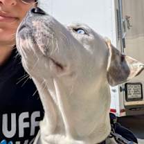 Thumbnail photo of Louie #3