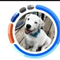 Thumbnail photo of Louie #4