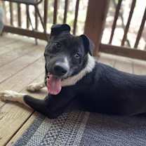 Thumbnail photo of Shawna KA #3