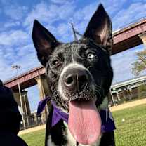 Thumbnail photo of Star #2