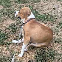 Thumbnail photo of Jace #2