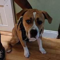 Thumbnail photo of Jace #3