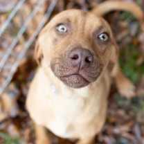 Thumbnail photo of Boo KA #1