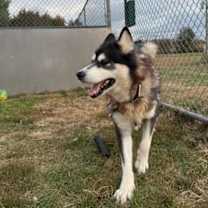 Thumbnail photo of Lala #2