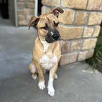 Thumbnail photo of Pilot #1