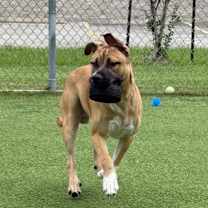 Thumbnail photo of Pilot #3