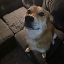 Thumbnail photo of Soto #2