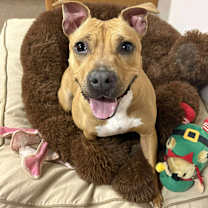 Thumbnail photo of Malibu #3