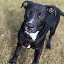 Thumbnail photo of Elliott #1