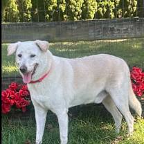 Thumbnail photo of DANNY #2