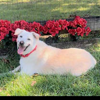 Thumbnail photo of DANNY #3