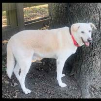 Thumbnail photo of DANNY #4