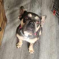 Thumbnail photo of Baby #1