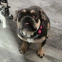 Thumbnail photo of Baby #2