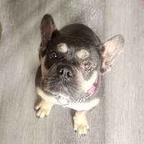 Thumbnail photo of Baby #3