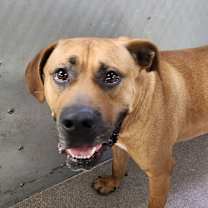 Thumbnail photo of Fitzwilliam #4